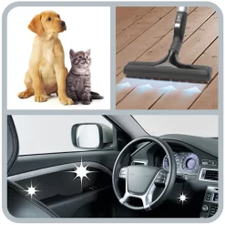 Rowenta Bodenstaubsauger »RO7690 Silence Force Cyclonic Animal«, 550 W, Beutellos -Rowenta b3ae5a68acd70b5d90e3a854f727481f