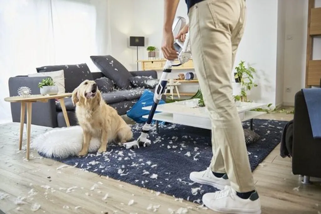 Rowenta RH9474, Trocken, Zyklonal, 82 DB, Beutellos, Orange, Weiß, Tätigkeit 11 Rowenta RH9474, Trocken, Zyklonal, 82 DB, Beutellos, Orange, Weiß, Tätigkeit – Bild 11