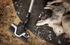 Rowenta RO7690 Silence Force Cyclonic Animal | Beutelloser Staubsauger | Vacuum-Cleaner | Sehr Leise | 2,5L Staubvolumen | Tierhaare | Auto | Schwarz/Blau 14 Rowenta RO7690 Silence Force Cyclonic Animal | Beutelloser Staubsauger | Vacuum-Cleaner | Sehr Leise | 2,5L Staubvolumen | Tierhaare | Auto | Schwarz/Blau -Rowenta ec5c979faa10777adbdbb638f76134b2